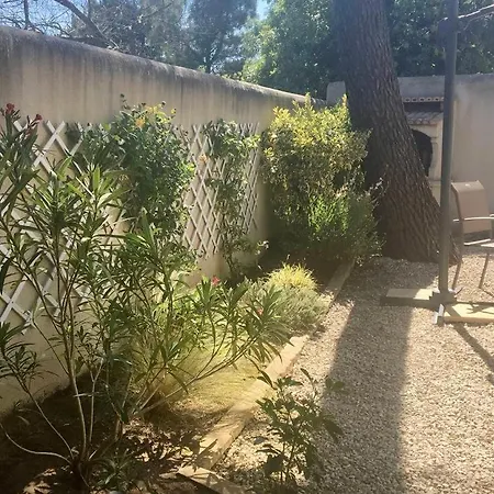 Maison Jardin Au Calme Sur La Ile De Re *